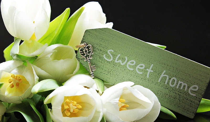 Regalo per casa nuova, cosa acquistare per ricordare questo importante passo? Consigli utili