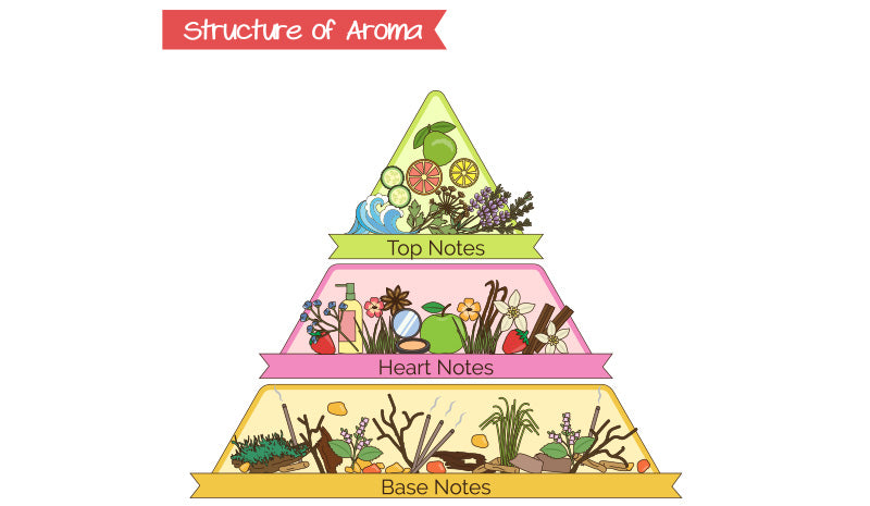 Cos’è la piramide olfattiva e i trucchi per leggerla facilmente
