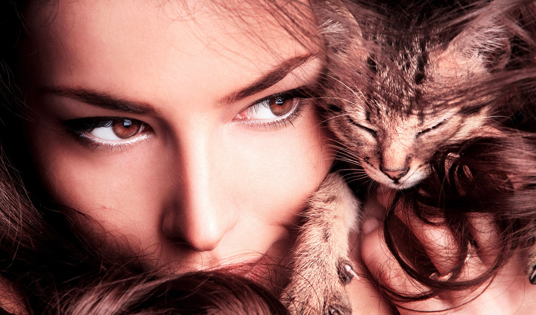 cat eye make up