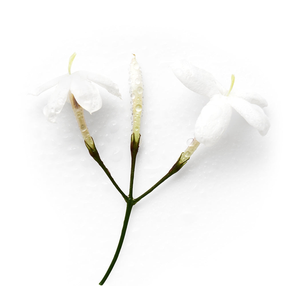 Armani Acqua di Gioia-2