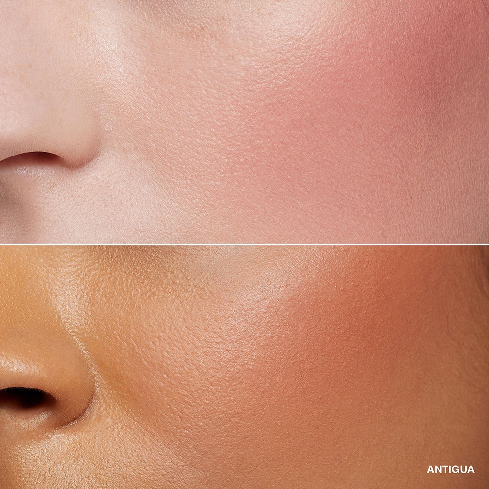 Bobbi Brown Blush Antigua-3