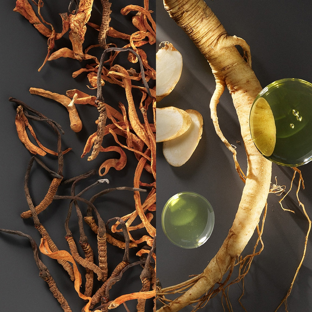 Bobbi Brown Intensive Skin Serum Foundation Porcelain-4