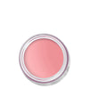Bobbi Brown Pot Rouge Velvet Matte for Lips and Cheeks Petal Pink ?