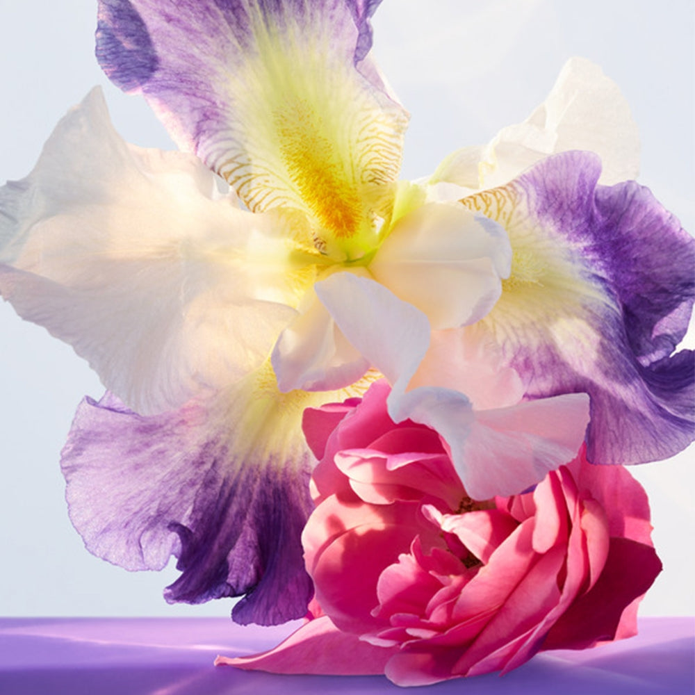 Bulgari Omnia Amethyste-3