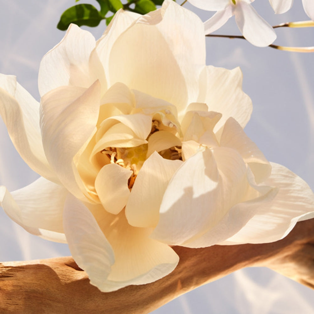 Bulgari Omnia Crystalline-3