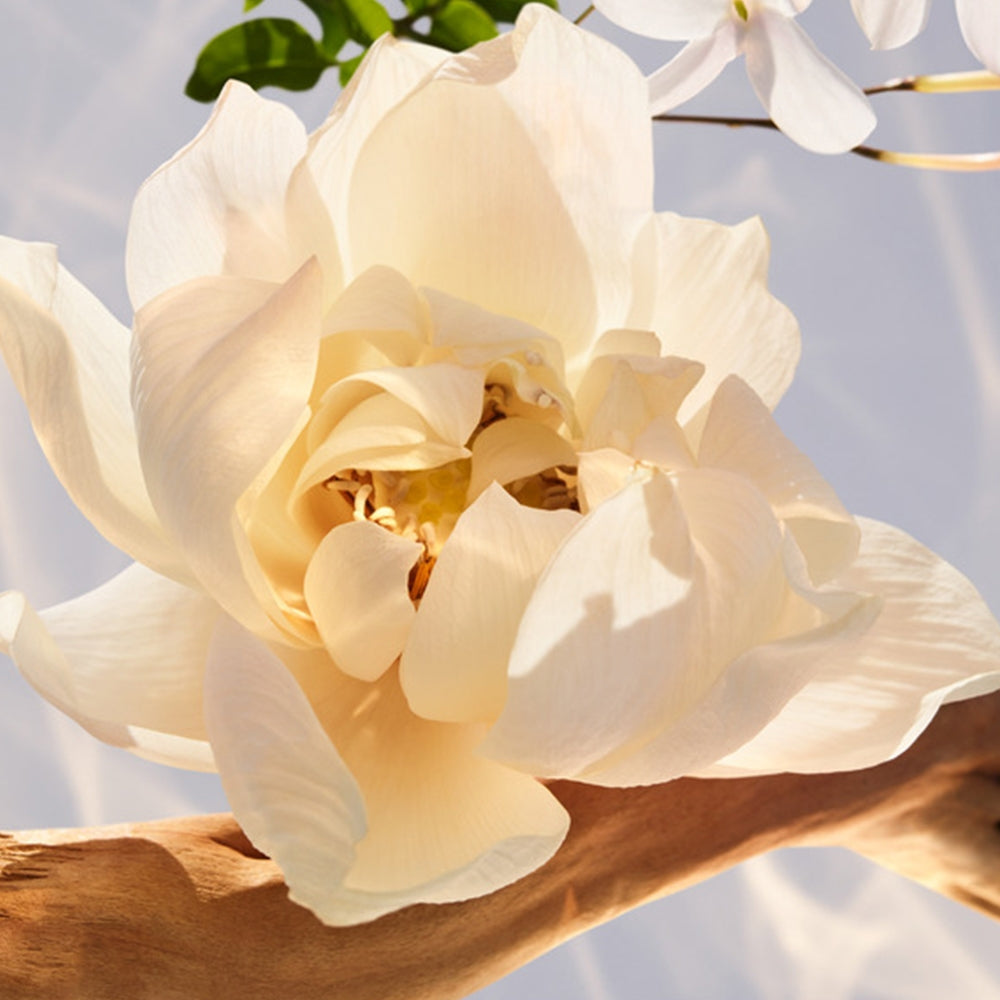 Bulgari Omnia Crystalline-3