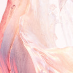 Bulgari Rose Goldea Blossom Delight-4