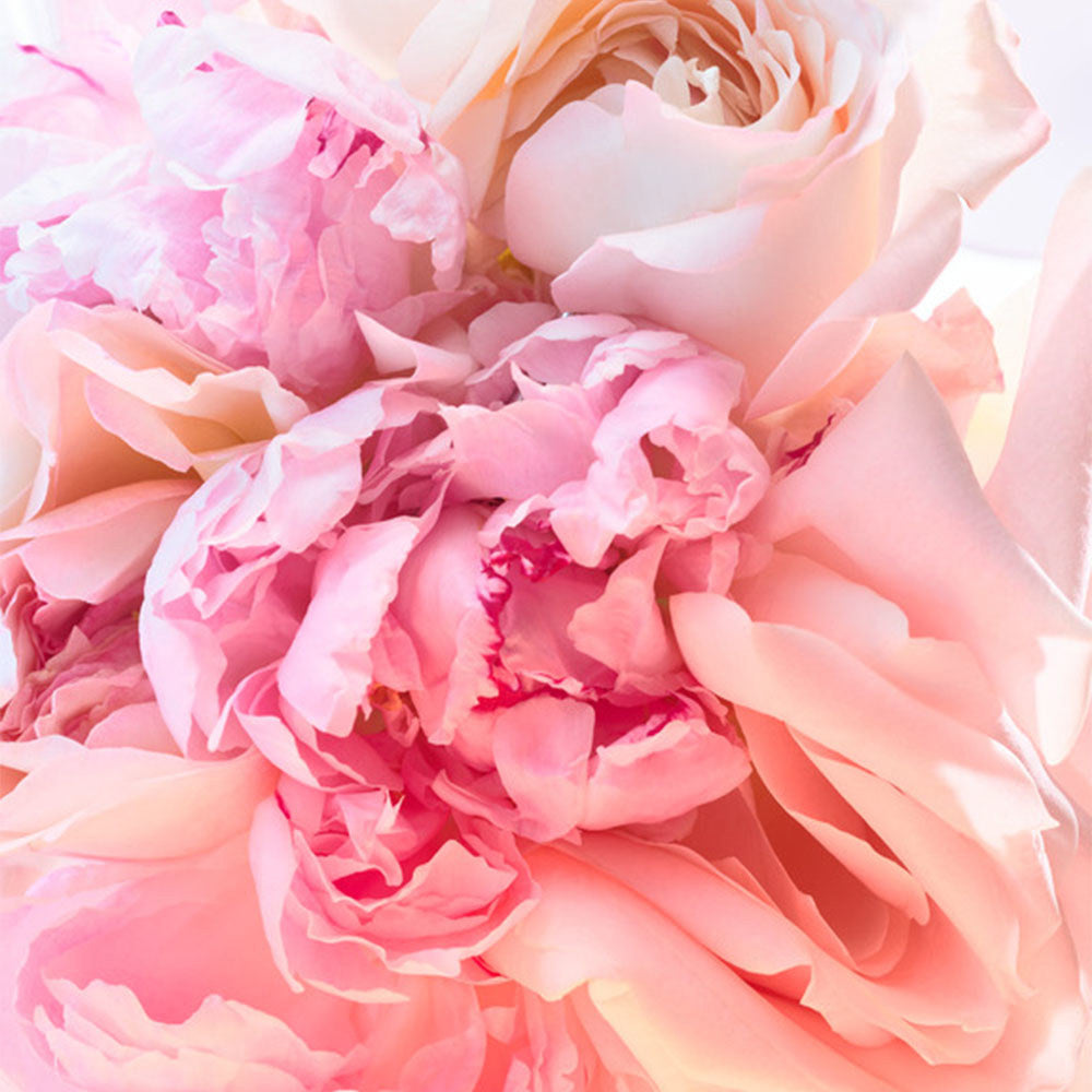 Bulgari Rose Goldea Blossom Delight-7