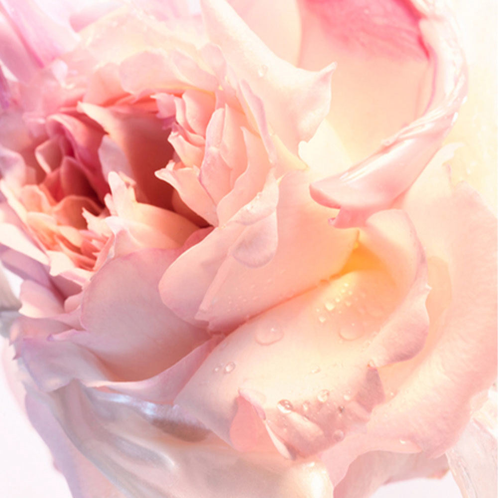 Bulgari Rose Goldea Blossom Delight Hair Mist-2
