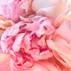 Bulgari Rose Goldea Blossom Delight Hair Mist-4
