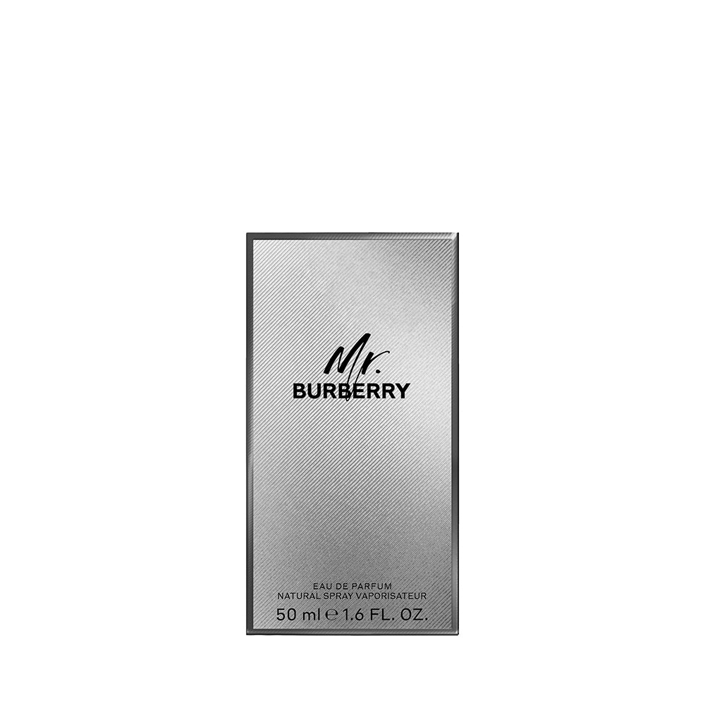 Burberry Burberry Mr. Burberry-3