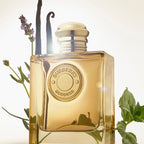 Burberry Goddess Intense-3