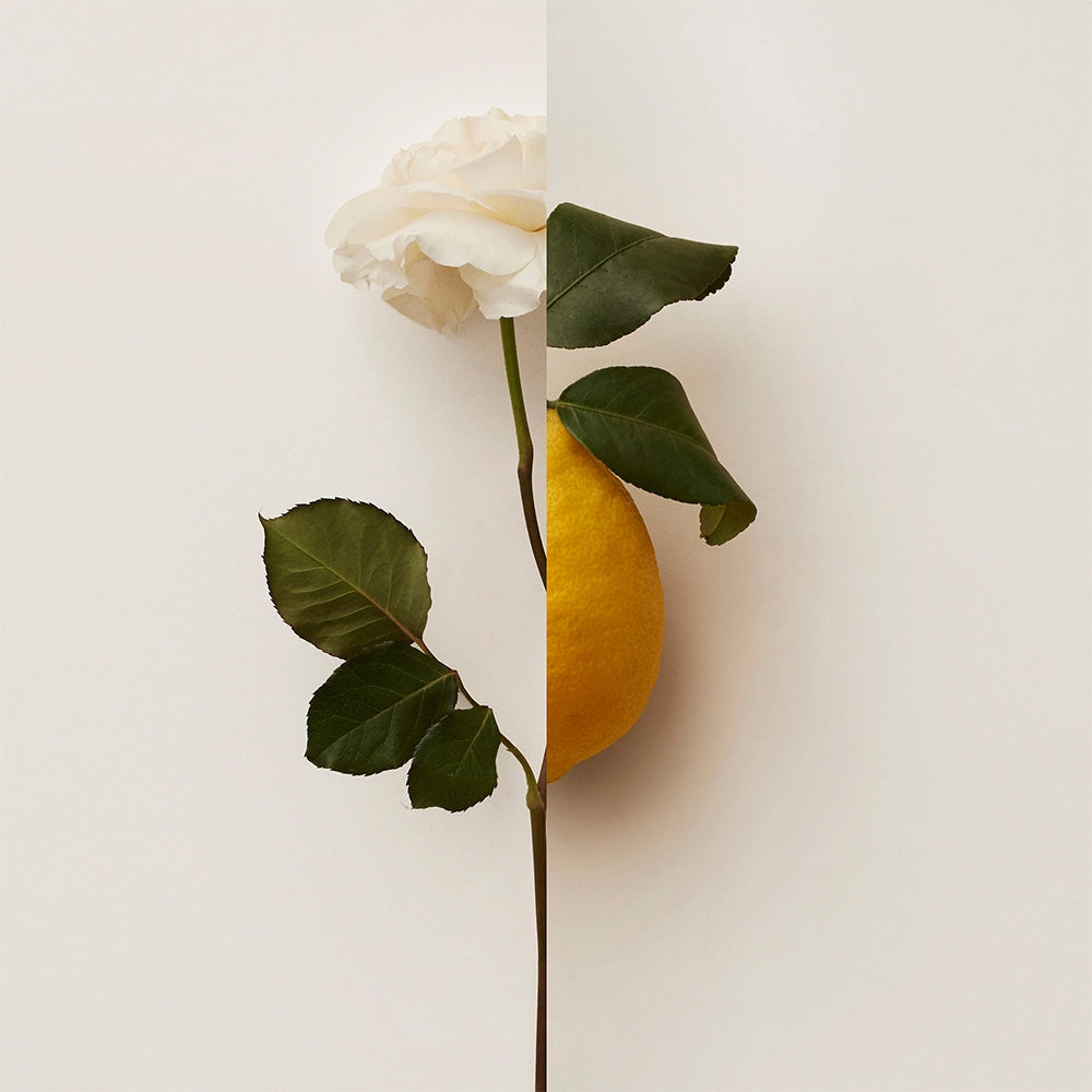 Burberry My Burberry-3