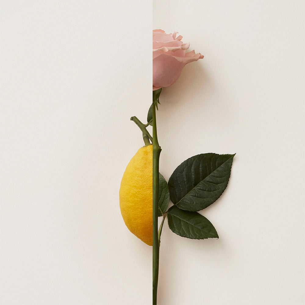 Burberry My Burberry Blush-6