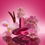 CALVIN KLEIN Euphoria Magnetic Elixir Parfum Intense -3