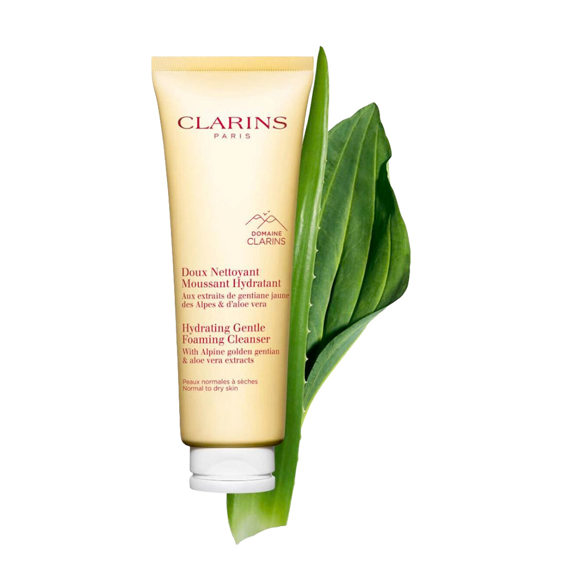 CLARINS Hydrating Gentle Foaming Cleanser 