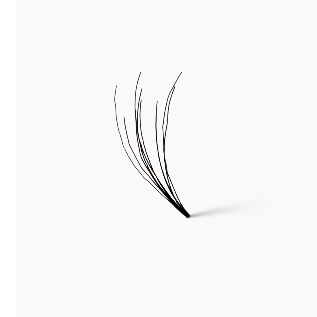 CLARISSA Ciglia A Ciuffetto Senza Nodino Medium -3