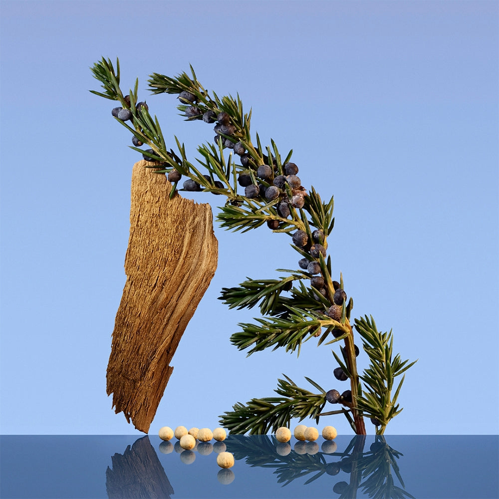 Calvin Klein Ck Be-5