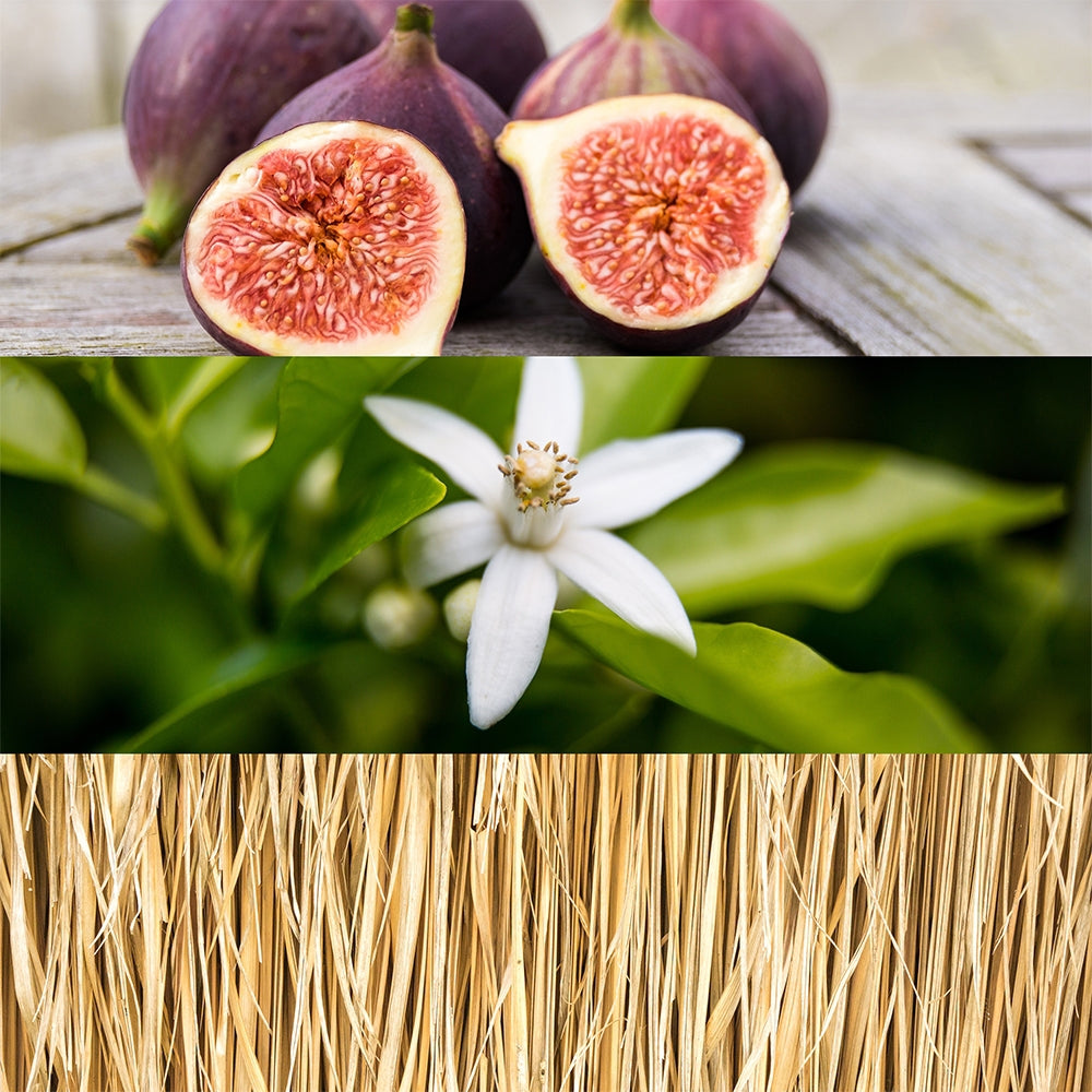 Calvin Klein Ck One Gold-4