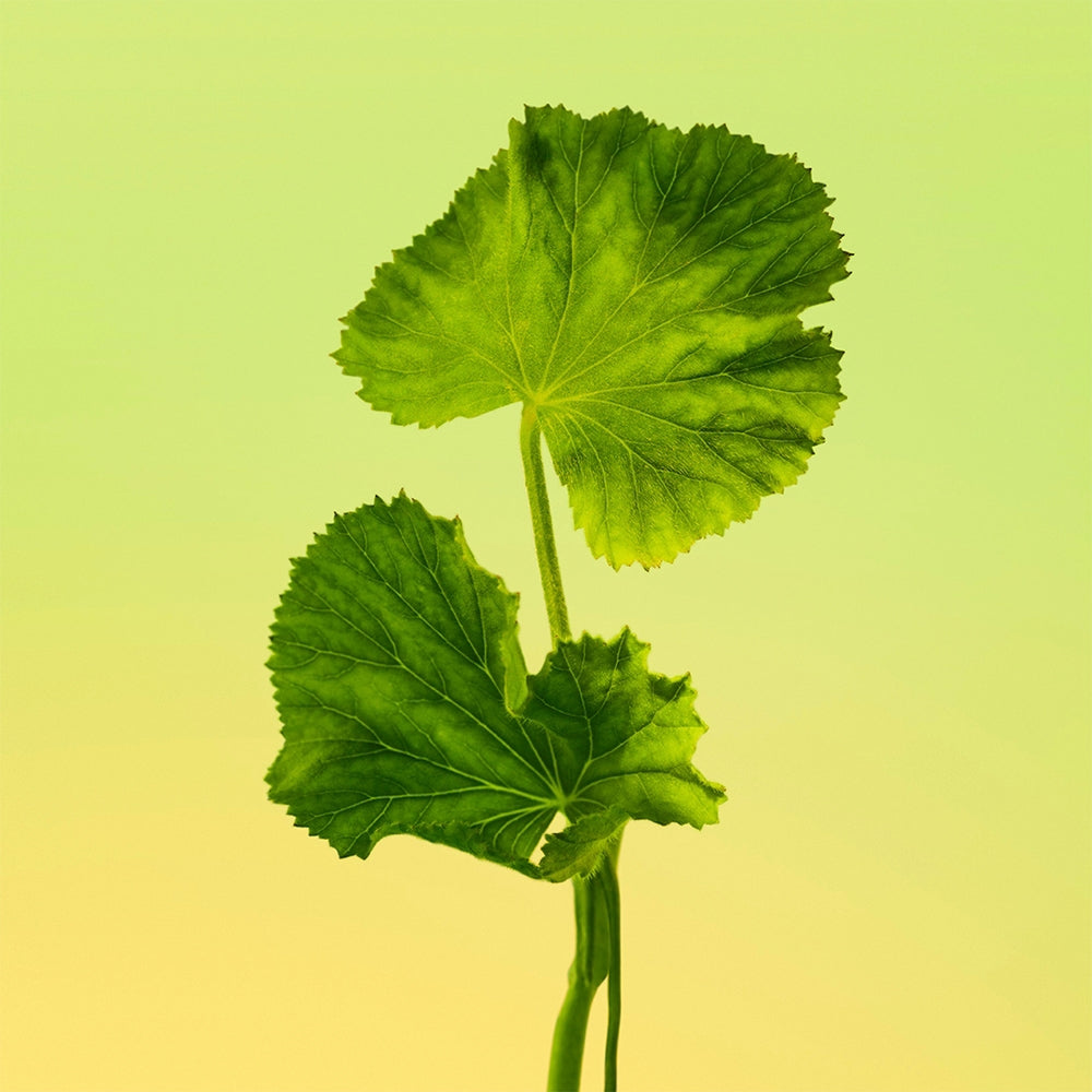 Calvin Klein Eternity-4