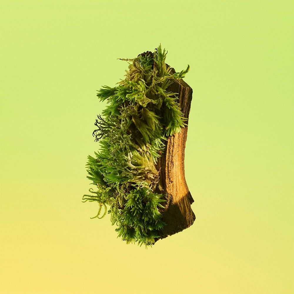 Calvin Klein Eternity-5