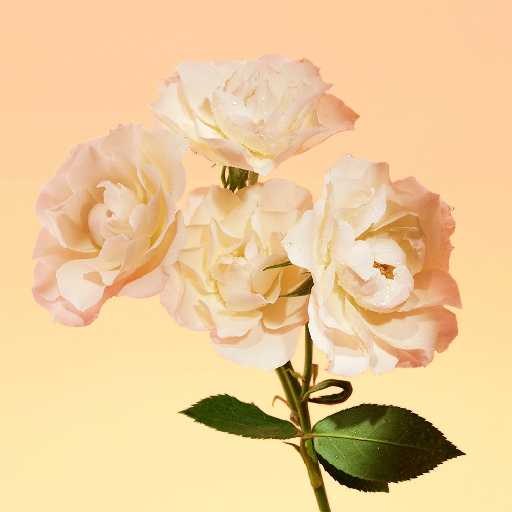 Calvin Klein Eternity for Her-3