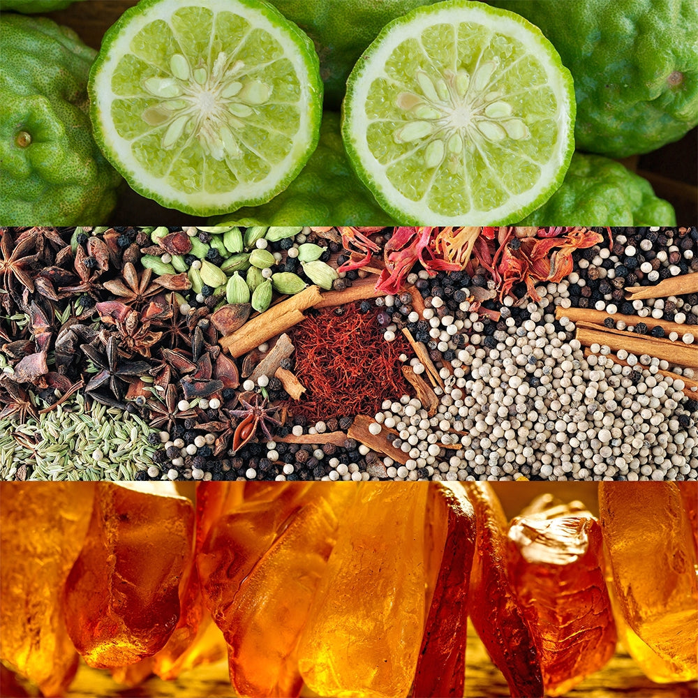 Calvin Klein Obsession-4