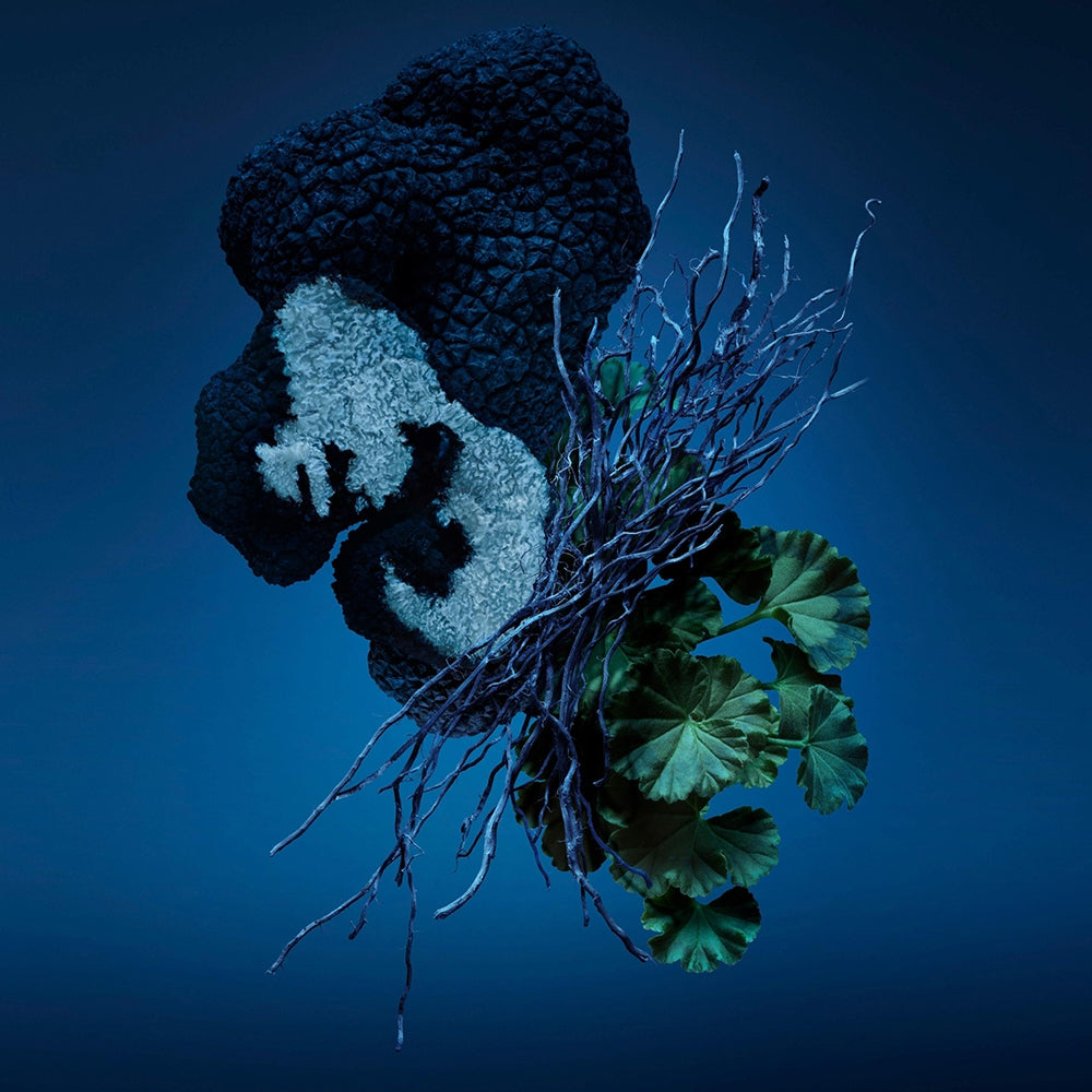 Carolina Herrera Bad Boy Cobalt Électrique-3