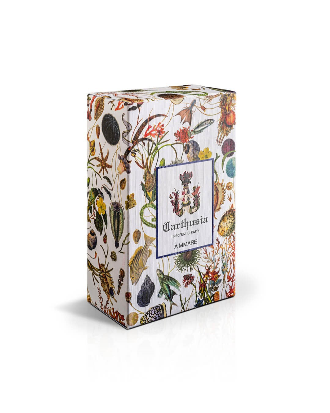 Carthusia A'mmare-2