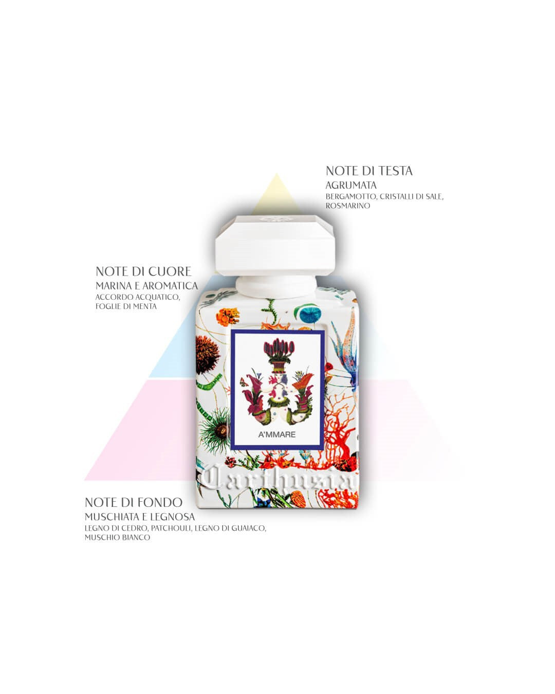 Carthusia A'mmare Olio Doccia-3