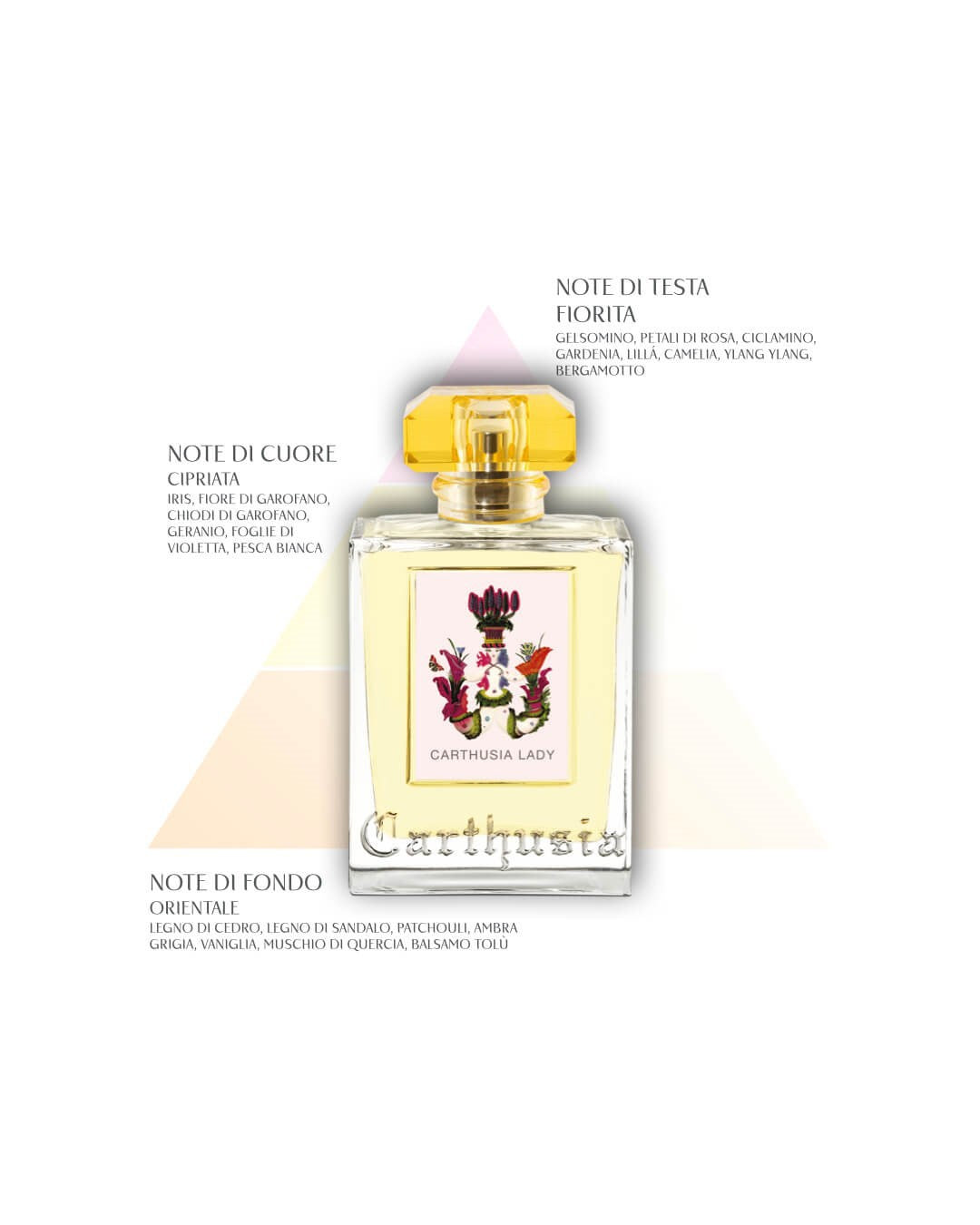 Carthusia Carthusia Lady-4