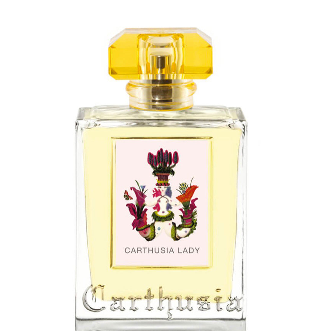 Carthusia Carthusia Lady