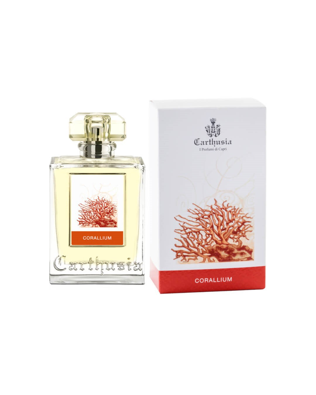 Carthusia Corallium-3