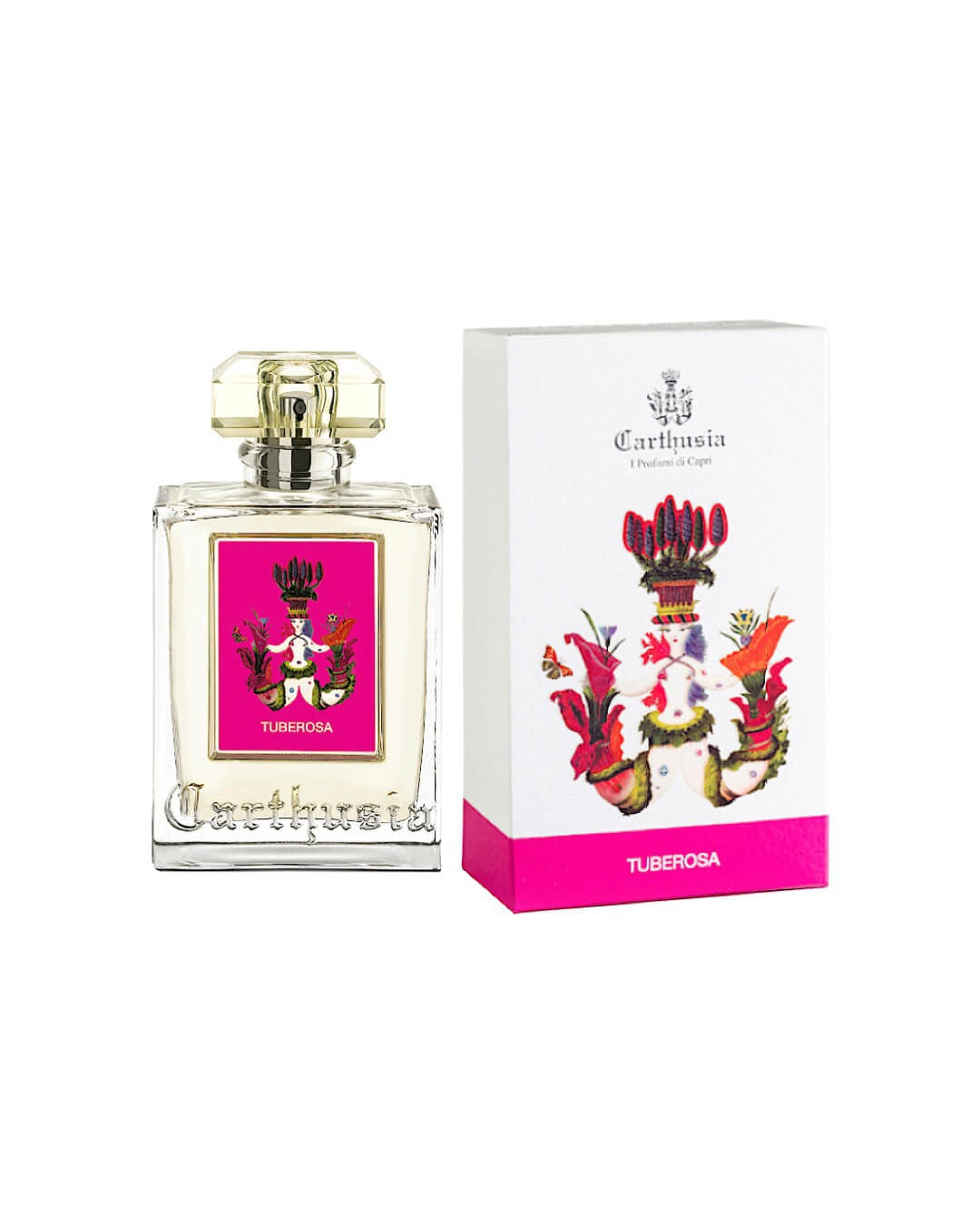 Carthusia Tuberosa-3