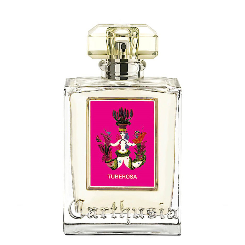 Carthusia Tuberosa