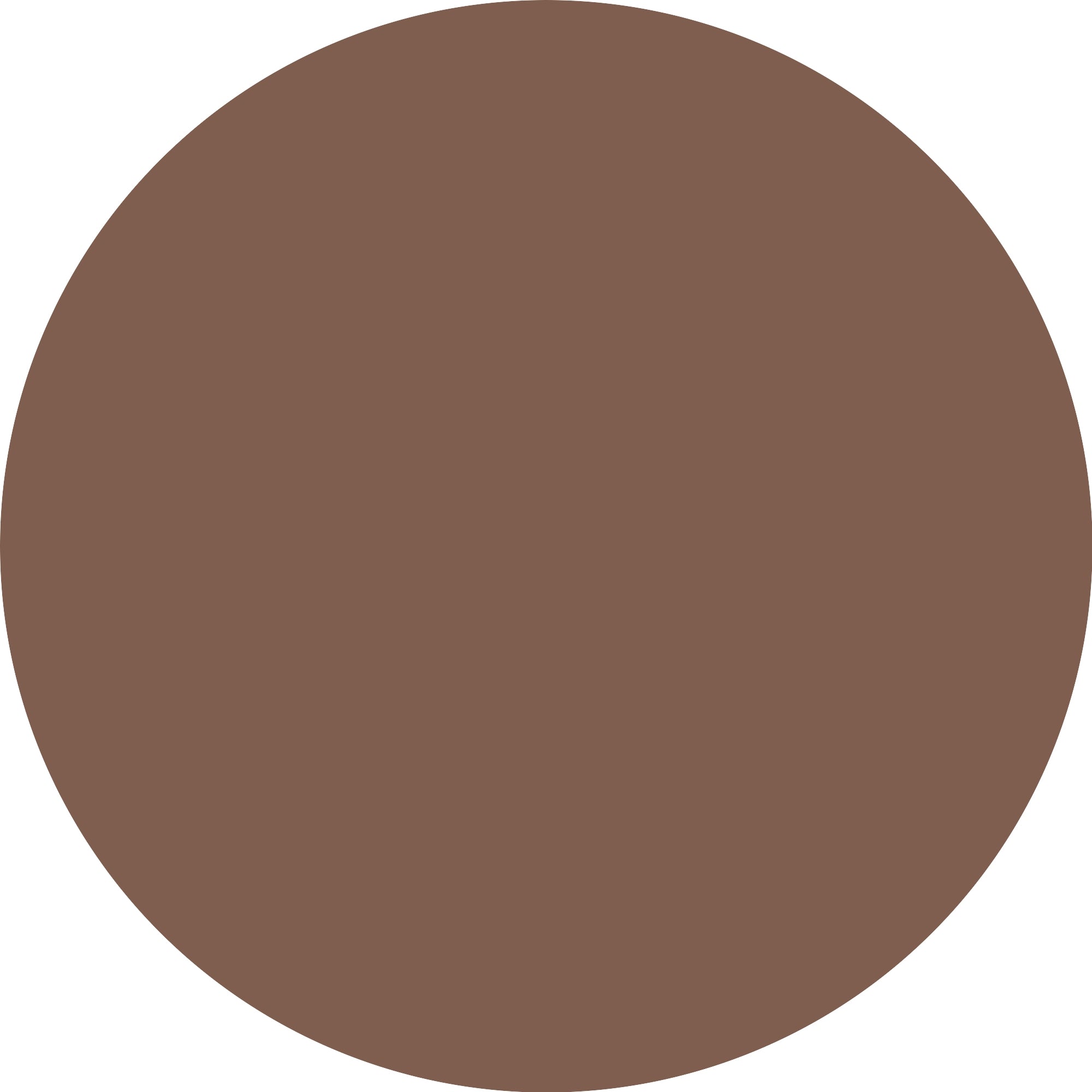 Catrice Calligraph Artist Matte 010 Roasted Nuts-4