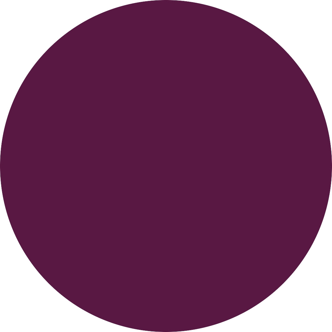 Catrice Gel Affair 023 Plum-Believable-3