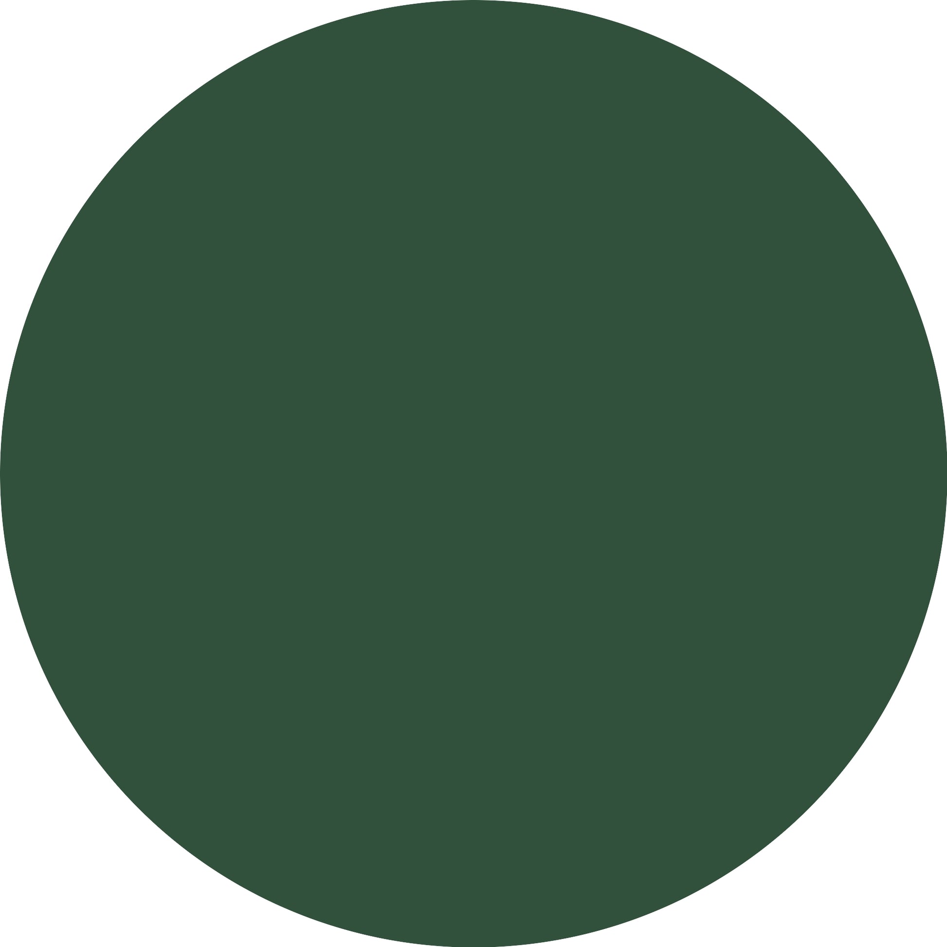 Catrice Gel Affair 047 Deep Woods Spell-3