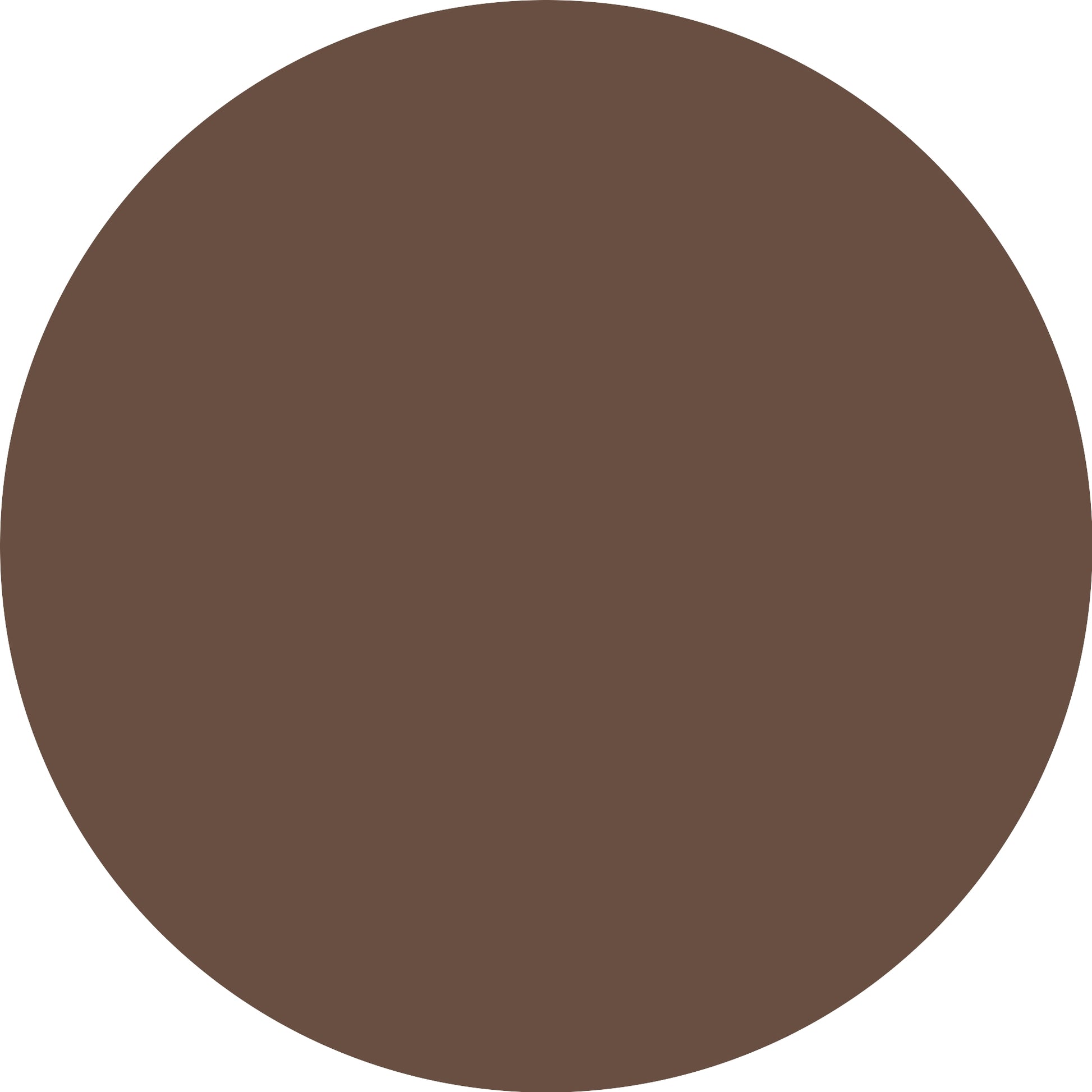 Catrice Plumping Lip Liner 170 Chocolate Lover-3