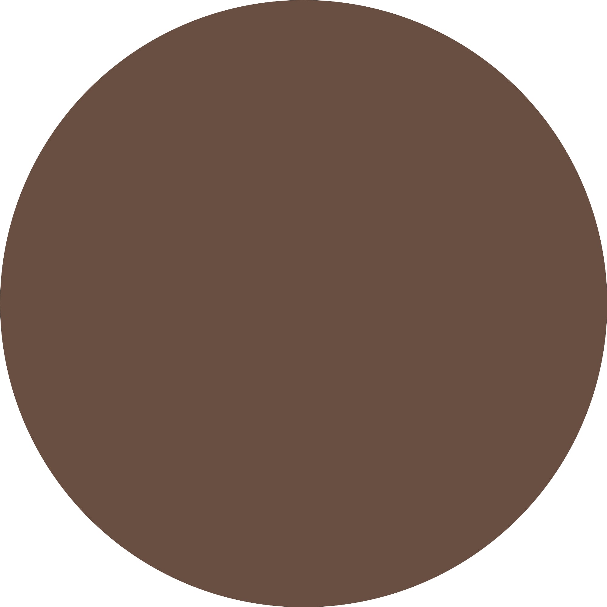 Catrice Plumping Lip Liner 170 Chocolate Lover-3