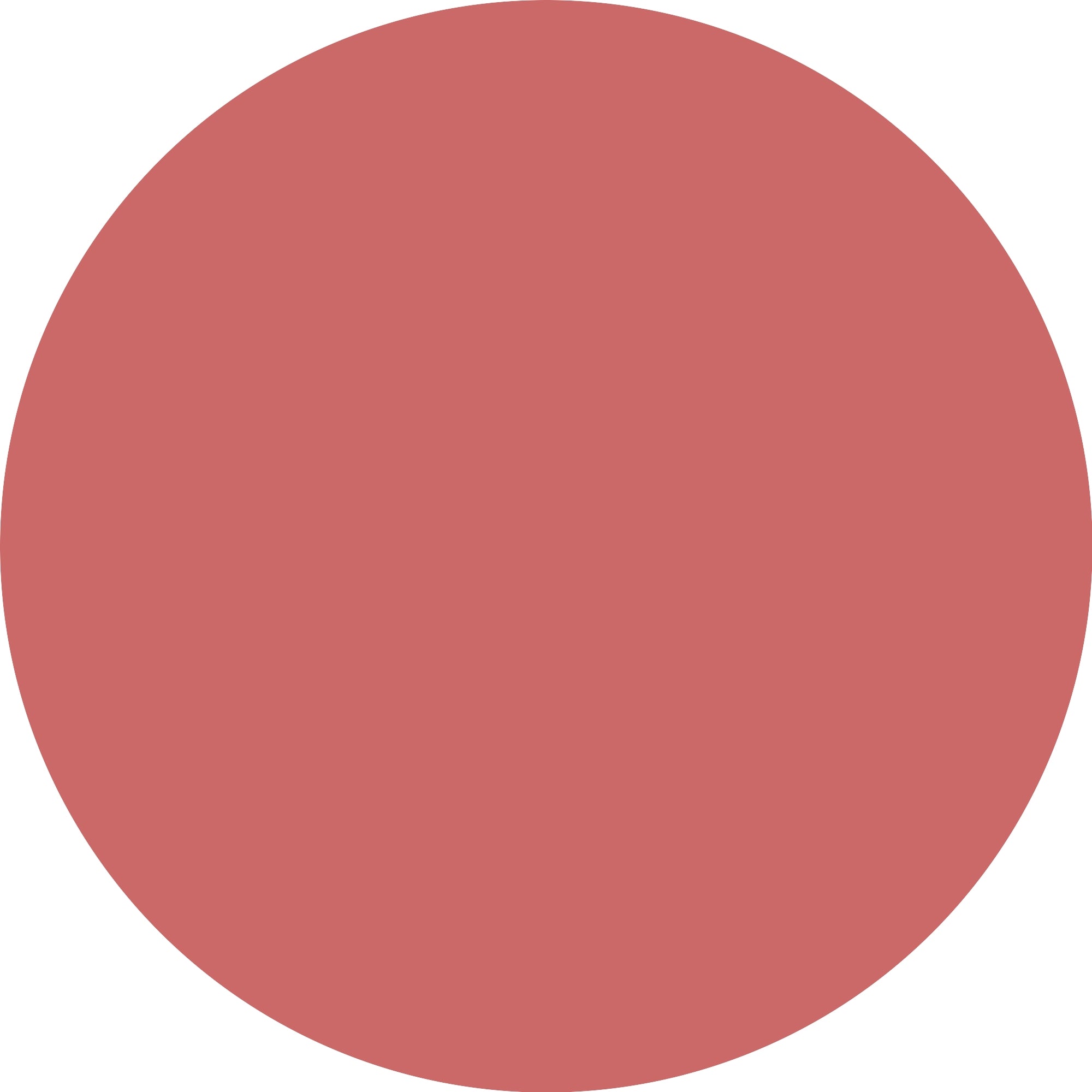 Catrice Plumping Lip Liner 200 Rosie Feels Rosy-3