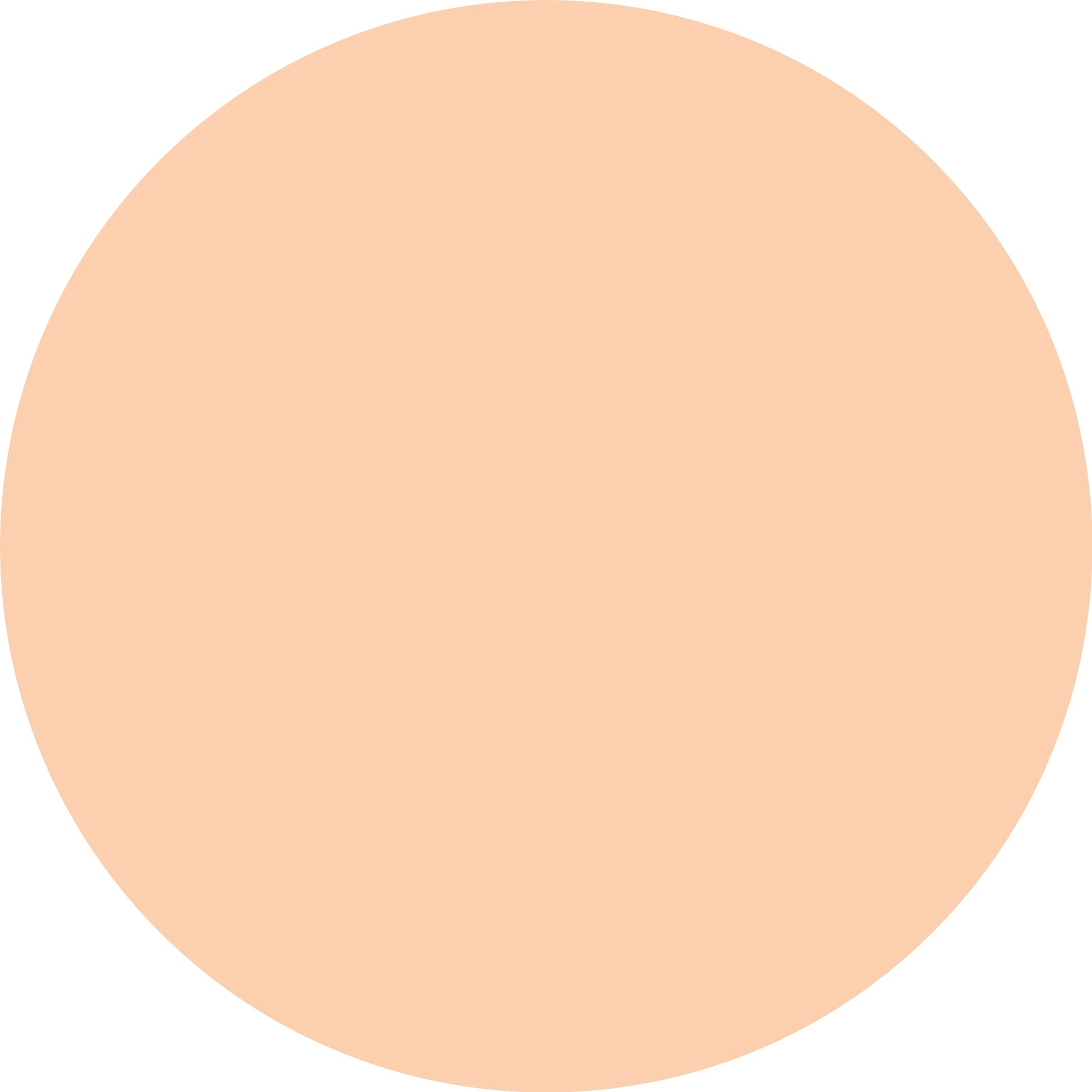 Catrice Soft Blur Matte Setting Powder 002 Absolute Translucent-3