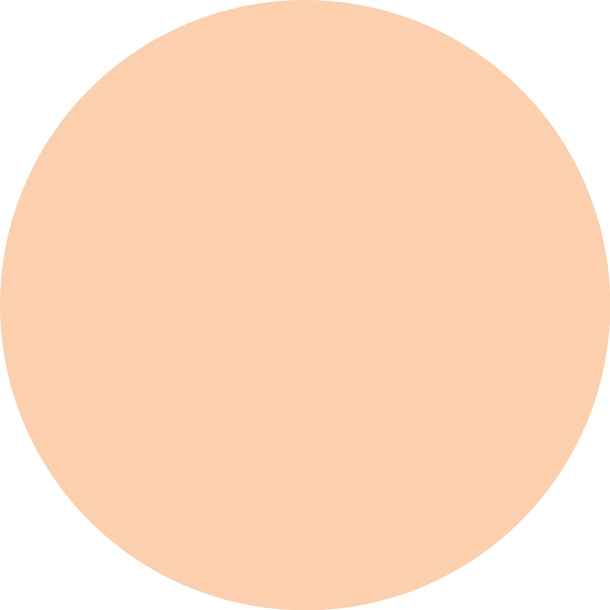 Catrice Soft Blur Matte Setting Powder 002 Absolute Translucent-3