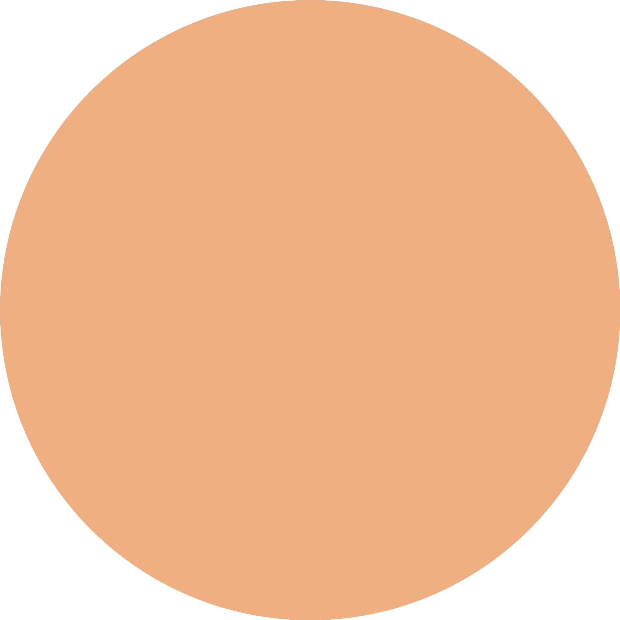 Catrice Soft Blur Matte Setting Powder 030 Medium-3