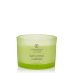 Chesapeake Bay Candle Awaken & Invigorate (Lemongrass Eucalyptus)-2