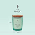 Chesapeake Bay Candle Balance & Harmony (Waterlily Pear)-3
