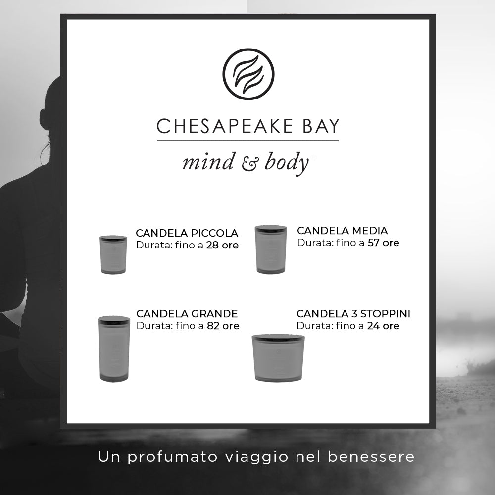 Chesapeake Bay Candle Confidence & Freedom (Oak Moss Amber)-3