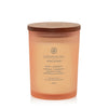 Chesapeake Bay Candle Love & Passion (Grapefruit Mango) Media & Passion (Grapefruit Mango)