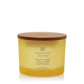 Chesapeake Bay Candle Strength & Energy (Pineapple Coconut)