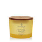 Chesapeake Bay Candle Strength & Energy (Pineapple Coconut)